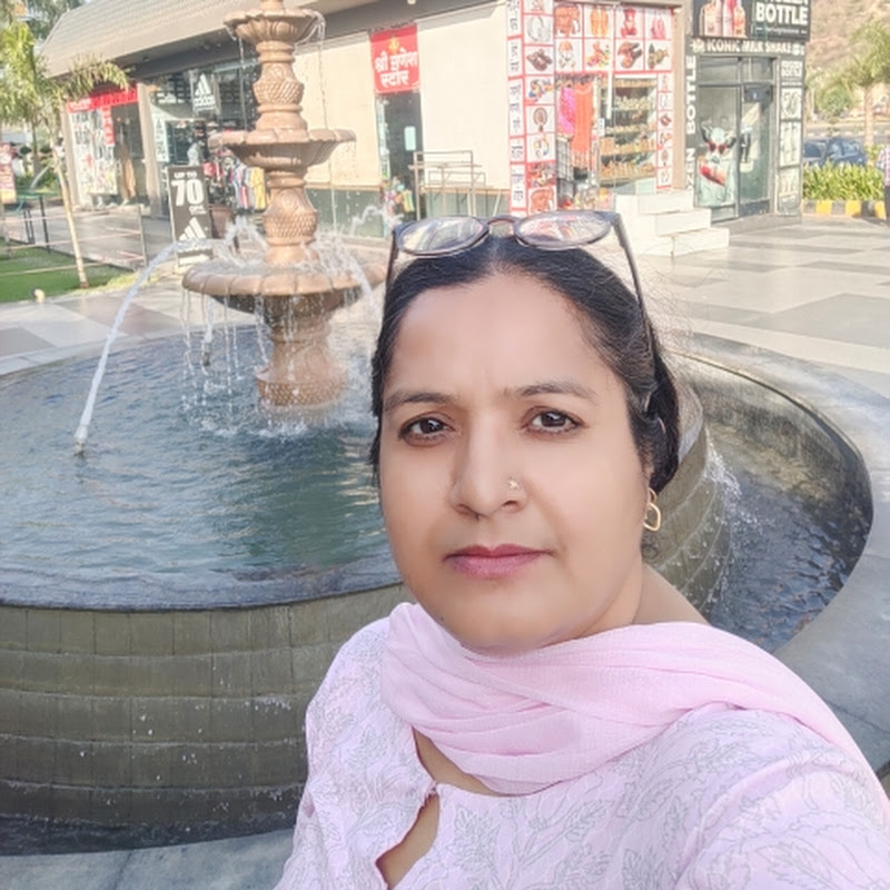 Manisha food Kitchen..