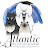 Atlantic Pet Stylist Academy