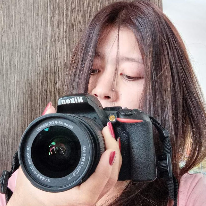 joysags vlogs