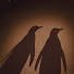 TFYG_oawJFU-channel-avatar-Wandering Penguins