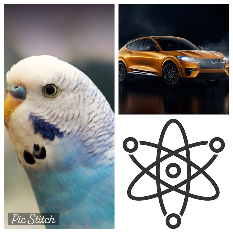 AMG 
