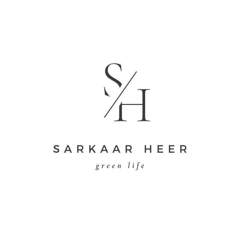 Hire SARKAAR HEER — Entertainment YouTube creator for sponsorships