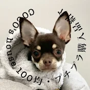 COCO's house /100均・プチプラ購入品紹介