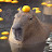 @Infinite_capybaras