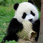 fufupanda logo