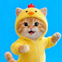 Sunshine Ginger Cat