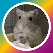 ハムラブ HamLove