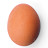 @egg.0ffical
