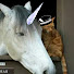 ux4jZQDjF9g-channel-avatar-퐁냐 - fongnyaa