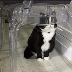 懐かしの動画チャンネル