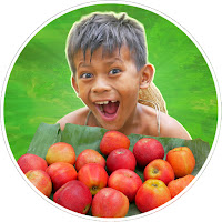 Primitive Technology Skills profile image