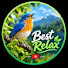 1A15USovmm0-channel-avatar-best relax