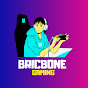 BricBone  logo