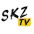 ZUvsksxEgjE-channel-avatar-슼티비 SKZ-TV