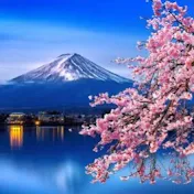 世界で活躍