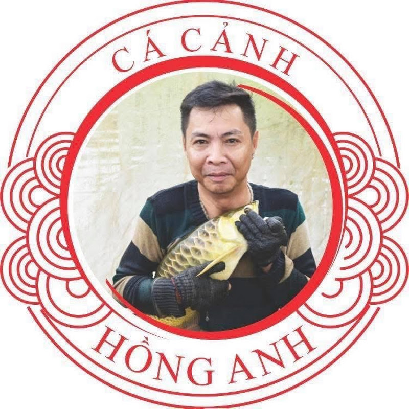 Cá Rồng Hồng Anh