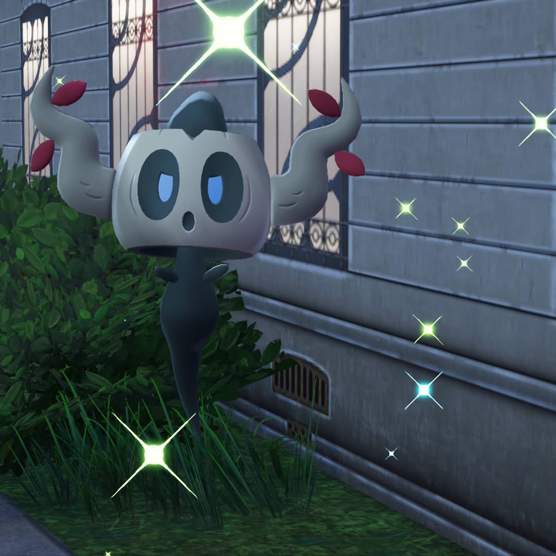 Post from Shiny Catherine