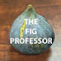 pUME_M5nbS4-channel-avatar-The Fig Professor