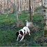 8dxHpO1BPuA-channel-avatar-Ma-Dug Productions, Inverclyde