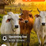 LZzOlmFwZ8Q-channel-avatar-vinay_agriculture81