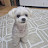 @진아조-p2j