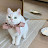 @aristocat1711