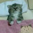 @kenzyhany8835