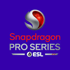 Snapdragon Pro Series net worth