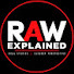 -eOVPb3AEuo-channel-avatar-Raw Explainer
