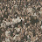 @OneHorsemenOf's avatar