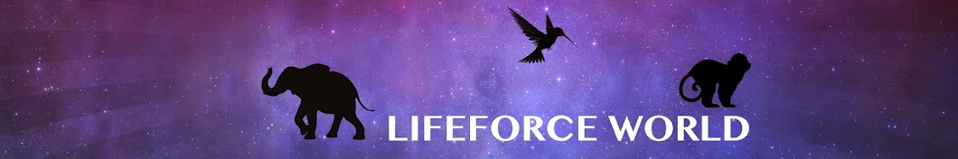 LifeForce World YouTube channel avatar