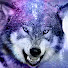 rDy0xThB3o0-channel-avatar-Dani006