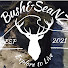 KYbULokXrbI-channel-avatar-BushandSeaNZ