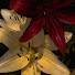 SGnXw40Jup0-channel-avatar-JJ edits