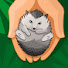 hwhGSgHfaM0-channel-avatar-My Exotic Animals
