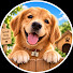 aNGMfWYVkqc-channel-avatar-Dog Cat Family