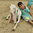 AB cattle mandi