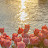 @الشهري2009
