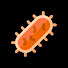 Gm7JP_eMwYs-channel-avatar-Bacterium