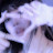 @RukyahAlzurfy