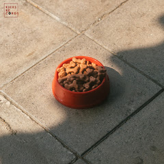 เบนซ์ ปรีชา - Topic