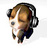 9ID4UyCwoZs-channel-avatar-햄