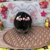 うさぎの凛ちゃんねる