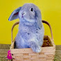 Mishka_the_hollandlop logo