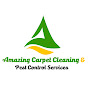 Amazing Carpet Cleaning & Pest Control Services logo