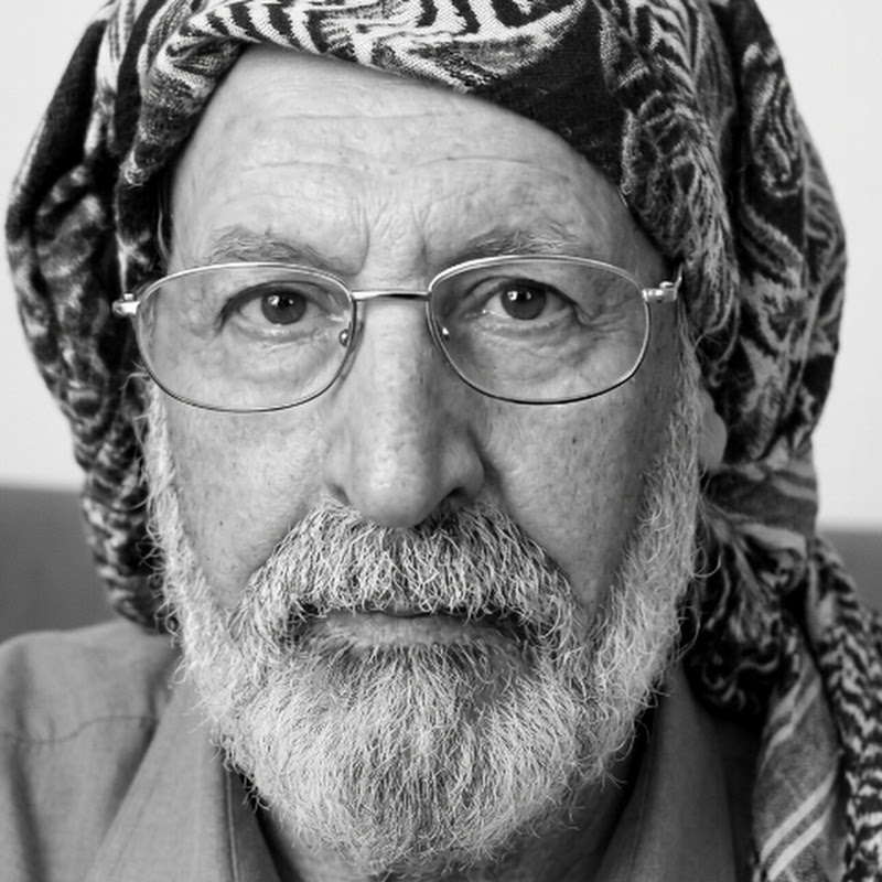 شمس المحسن