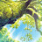 @user-gc7jp6wn6v