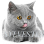 Cat Syl_Vester & Co.