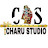 Charu Studio agra