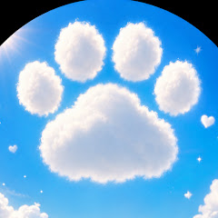 The Paw Stories
